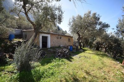 Olivenhain mit Berghäuschen in Es Marroig, Fornalutx