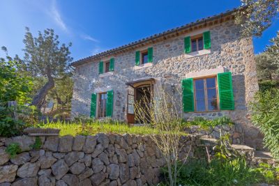 Kaufobjekt der Woche