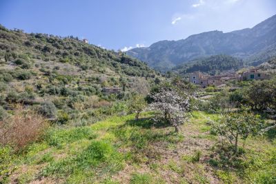 Kaufobjekt der Woche