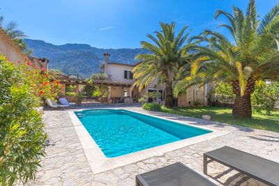 Kaufobjekt der Woche