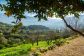 Fantastische Finca mit herrlichem Fernblick ausserhalb Sóller