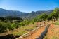 Fantastische Finca mit herrlichem Fernblick ausserhalb Sóller