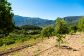 Fantastische Finca mit herrlichem Fernblick ausserhalb Sóller