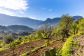 Fantastische Finca mit herrlichem Fernblick ausserhalb Sóller