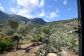 Landhaus mit herrlichem Fernblick in Deià zu vermieten