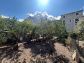 Wunderschönes Stadthaus mit Garten am Stadtrand von Sóller